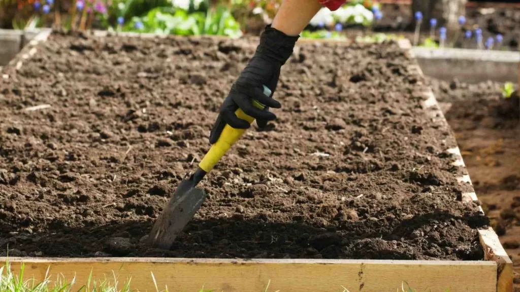 soil prepping image by Landscaping company in dubai