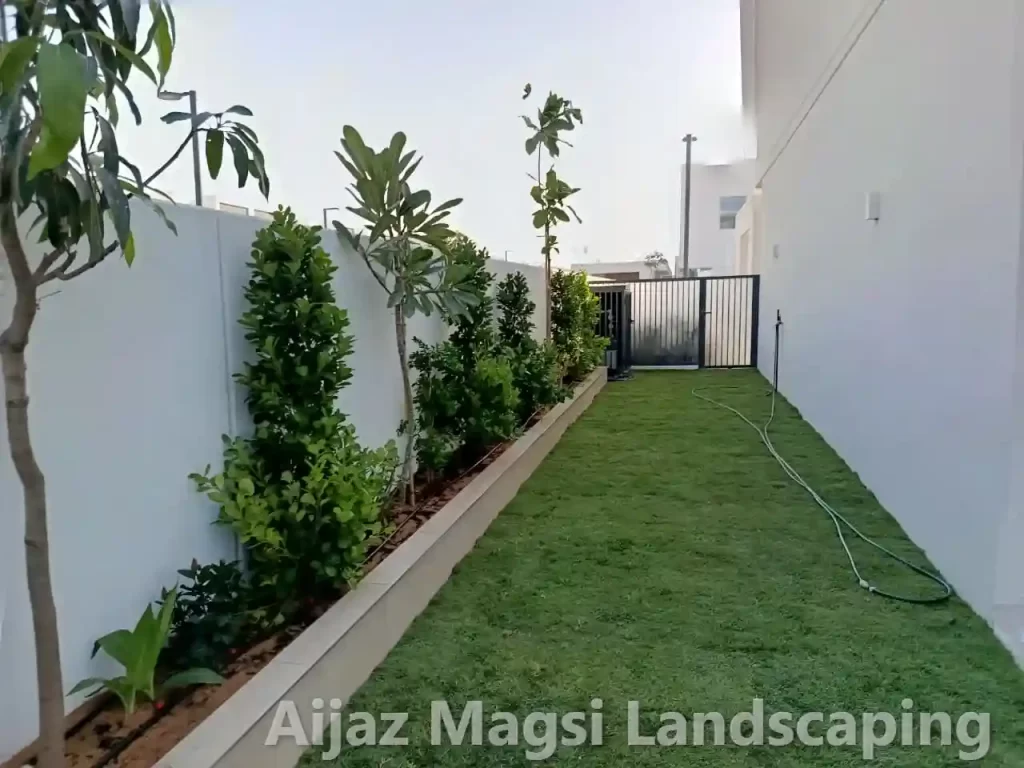 Modern villa garden landscape design with lush green lawn and decorative plants in Dubai