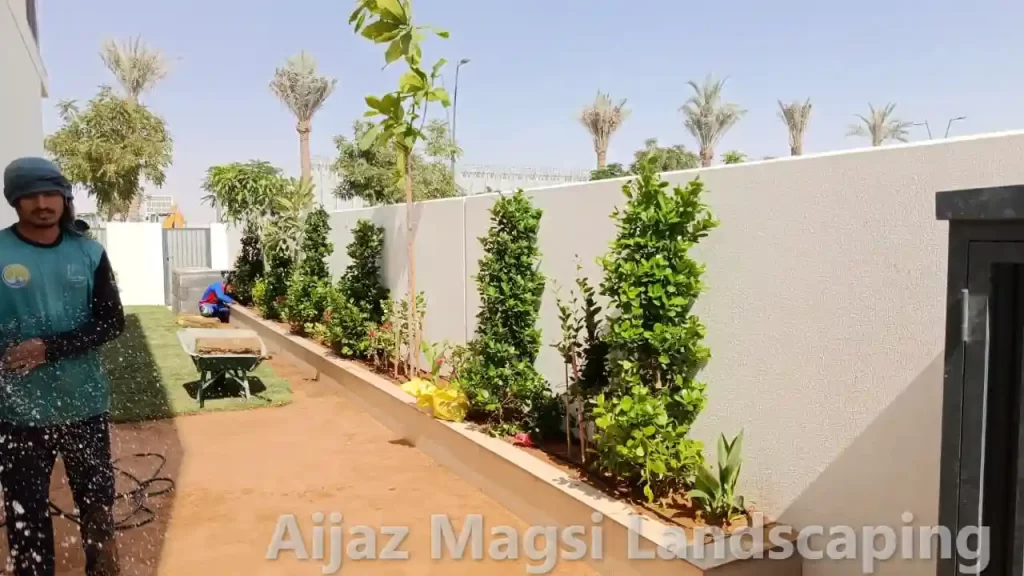 Colorful seasonal flower planting along garden pathway in Dubai